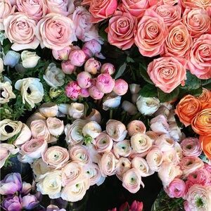 Meet your Posher, Samantha